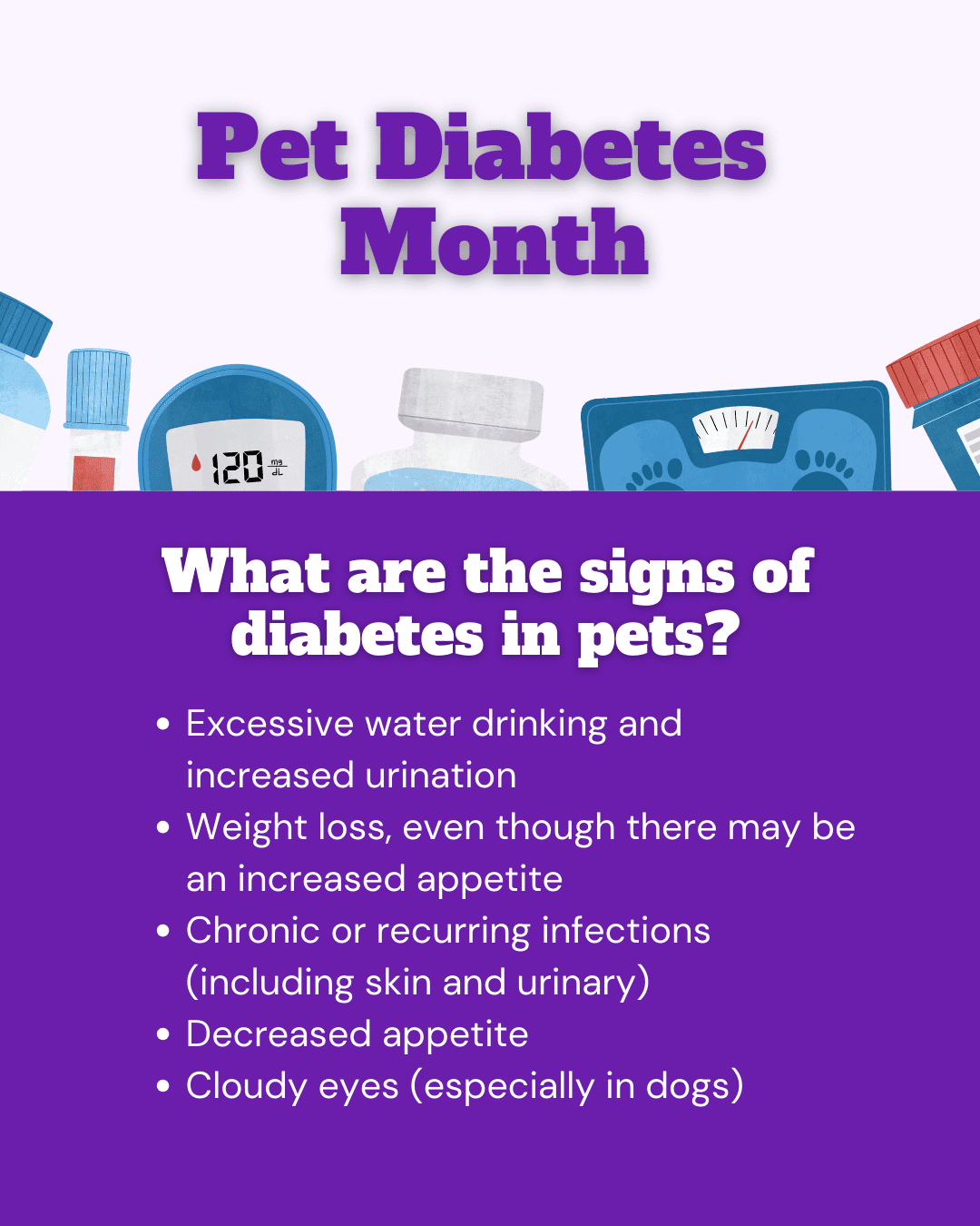 12 Pet Diabetes Month Social Graphic