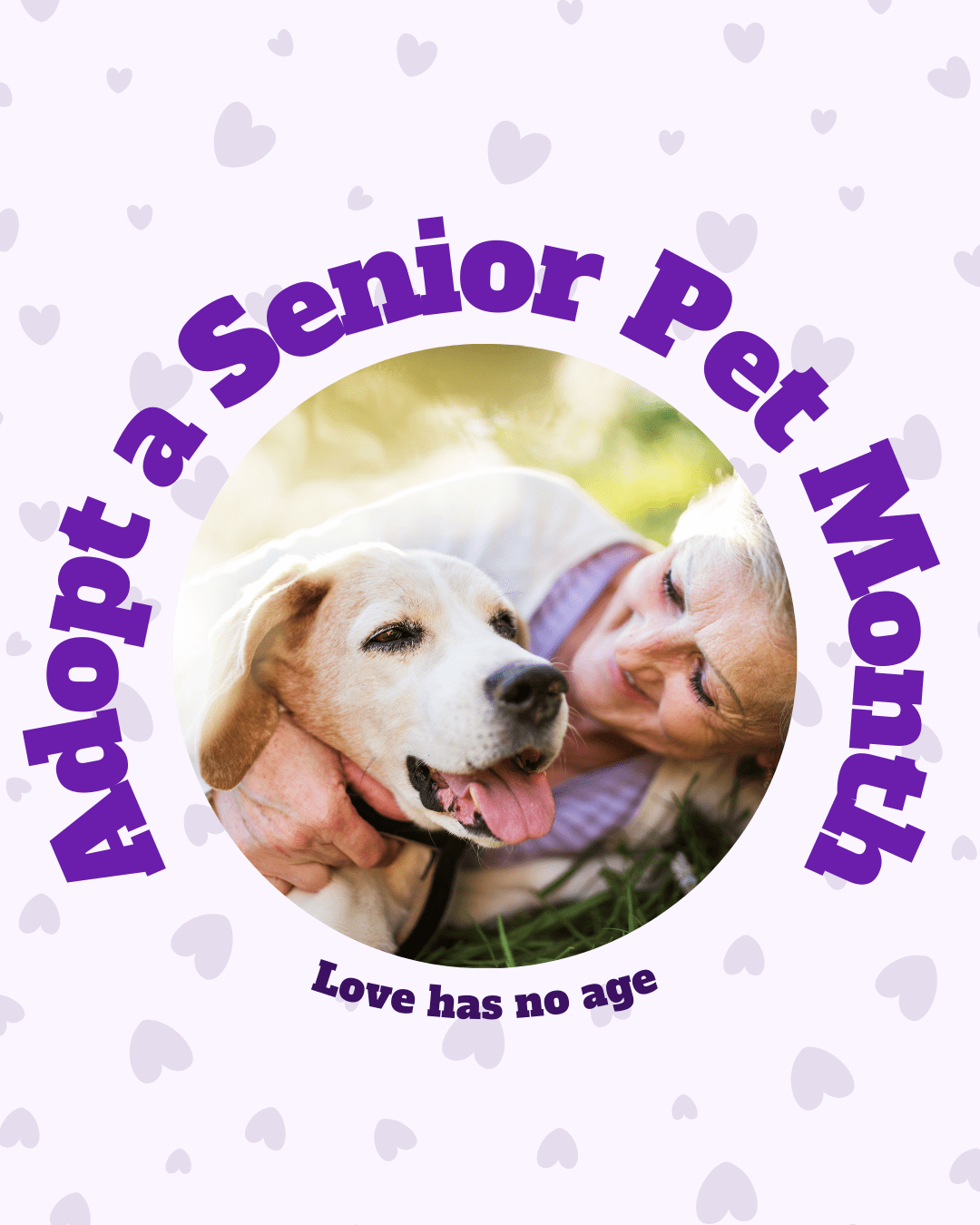 4 Adopt a Senior Pet Month Social Graphic