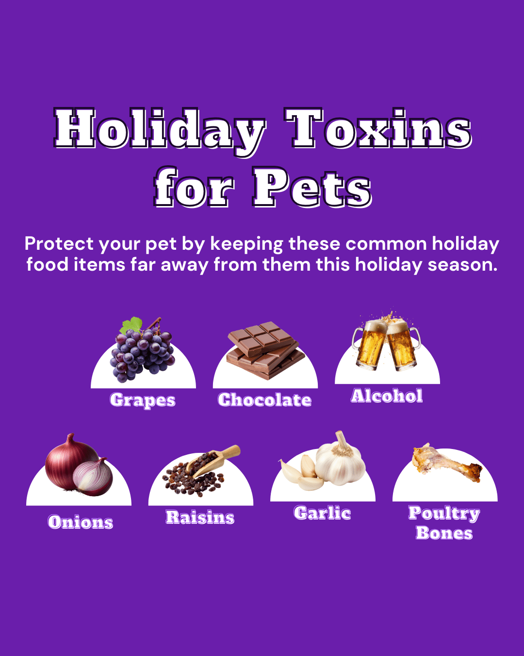6 Holiday Toxins for Pets Social Graphic