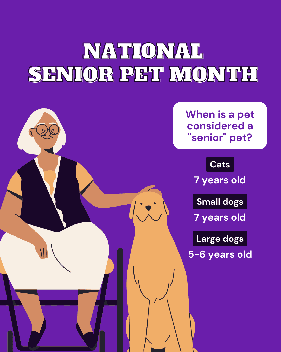 8 National Senior Pet Month Social Graphic