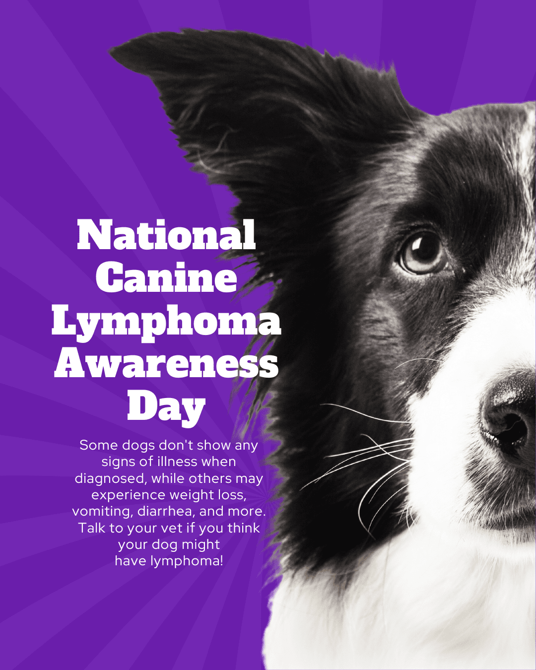 9 National Canine Lymphoma Awareness Day Social Graphic