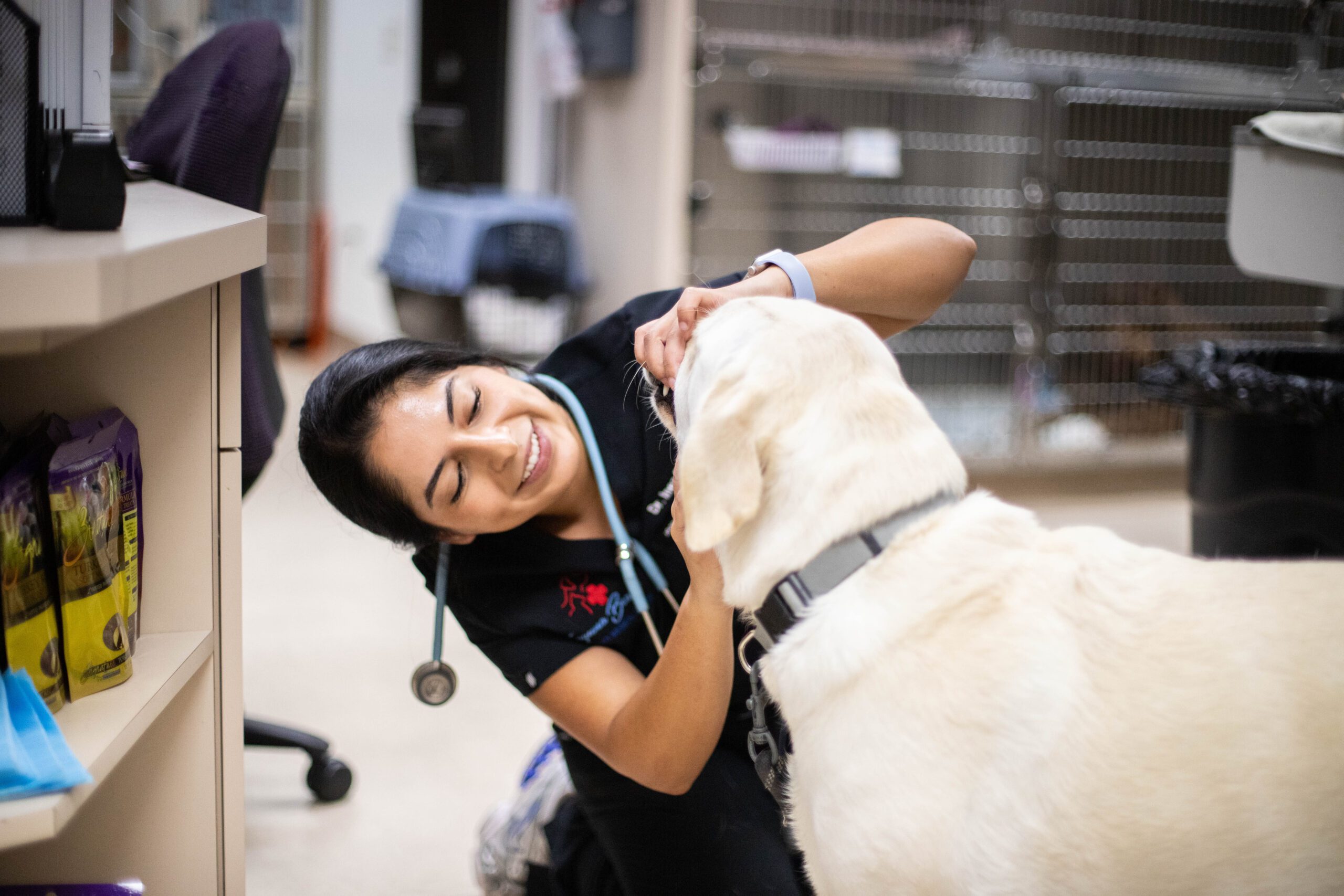 LBVMC_Aug 2025-112 Happy veterinarian examining a dog