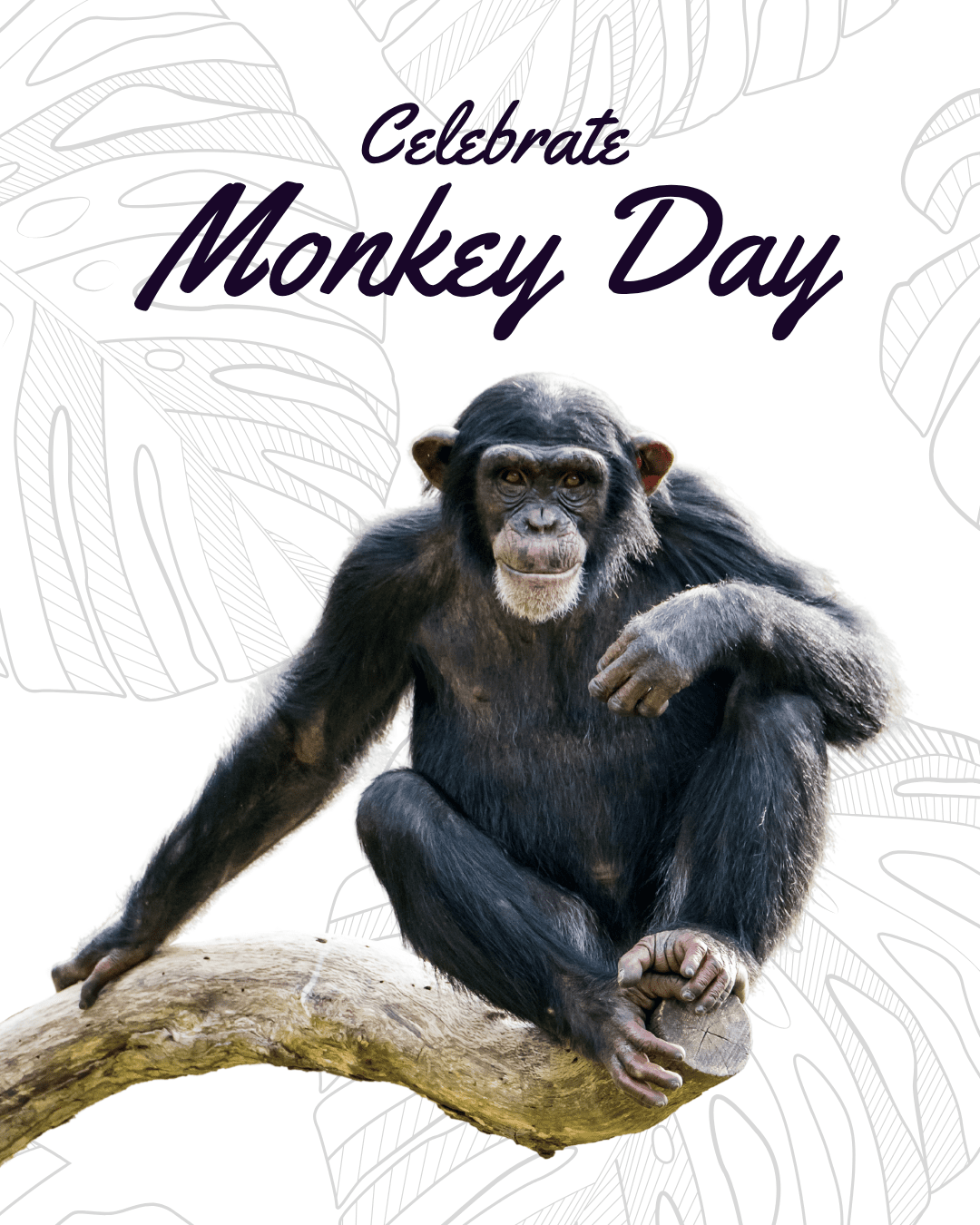 Celebrate Monkey Day Social Graphic