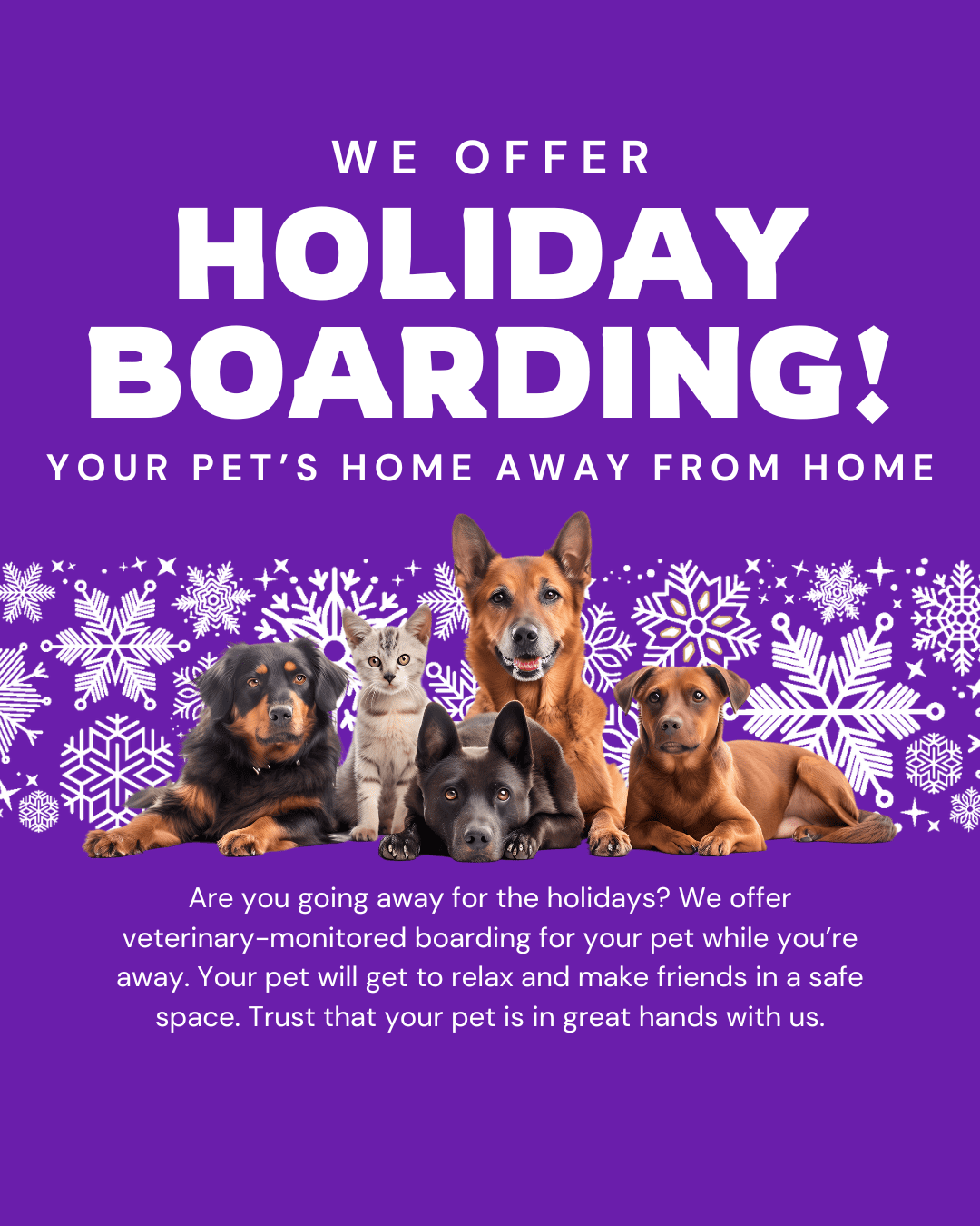 Holiday Boarding Social Graphic
