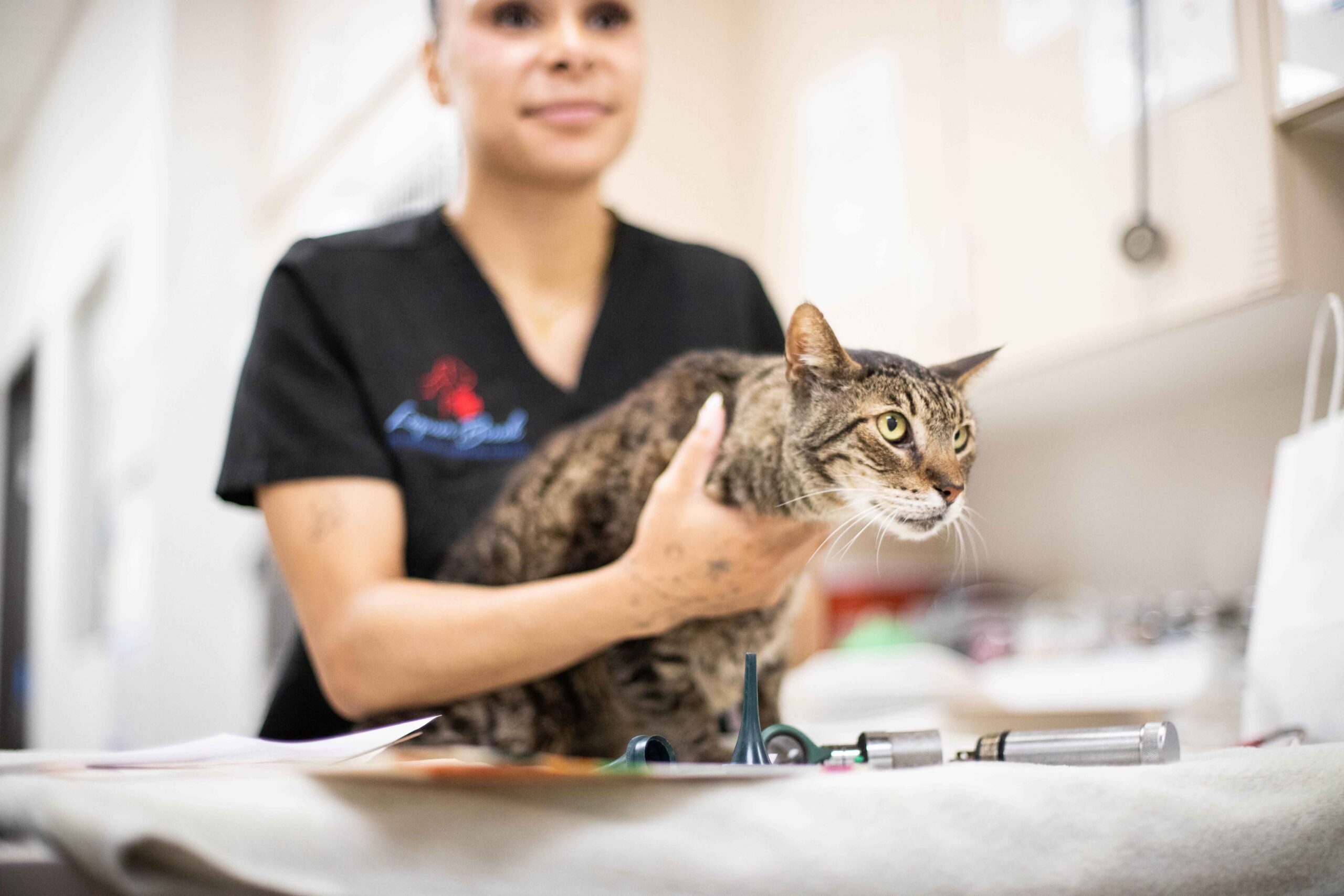 Veterinary Guides | LBVMC Aug 2025 62 scaled