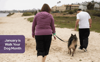 Complete List of Social Media Holidays for Veterinary Hospitals